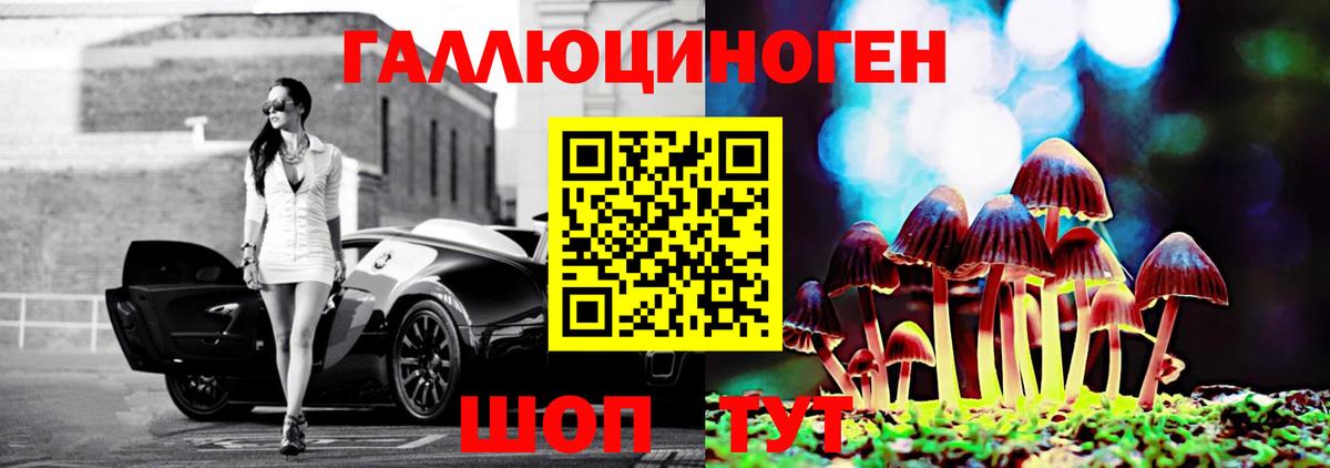 Галлюциногенные грибы GOLDEN TEACHER Гурьевск