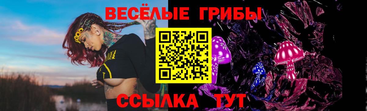 Галлюциногенные грибы Psilocybe  Вход с VPN  Галлюциногенные грибы мухоморы  Гурьевск 