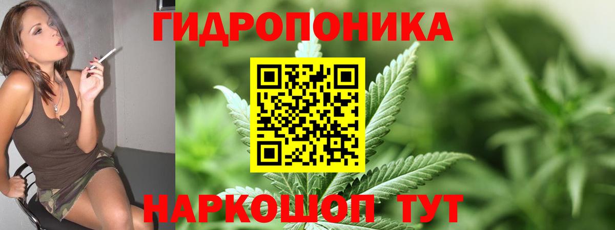Гурьевск  Бошки Шишки гибрид  Вход с VPN  Бошки Шишки LSD WEED 